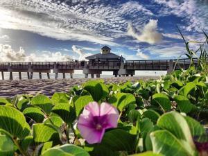 149 Seabreeze Circle Jupiter, FL 33477 - Photo 22 of 28 Juno Pier