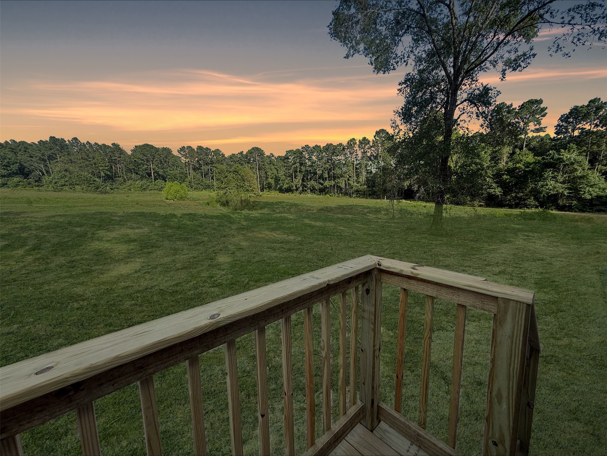 4846 Long Shadows Road Navasota, TX 77868 - Photo 3 of 12 View from Front porch. Grass is digitally enhanced