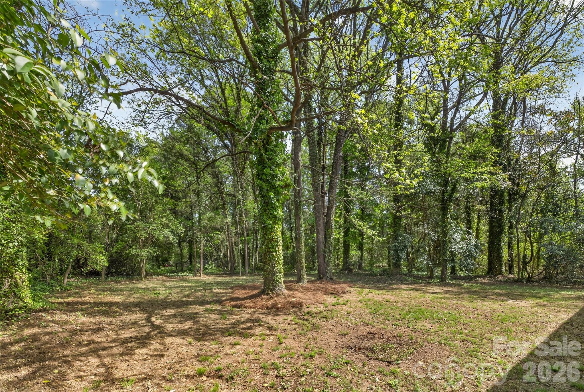 5000 Kerr Lane Charlotte, NC 28216 - Photo 24 of 27 Gallery Image 24