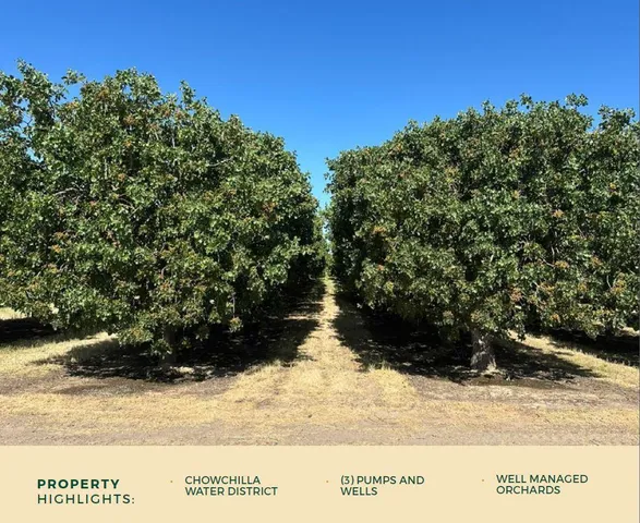 a black and white photo of a green field