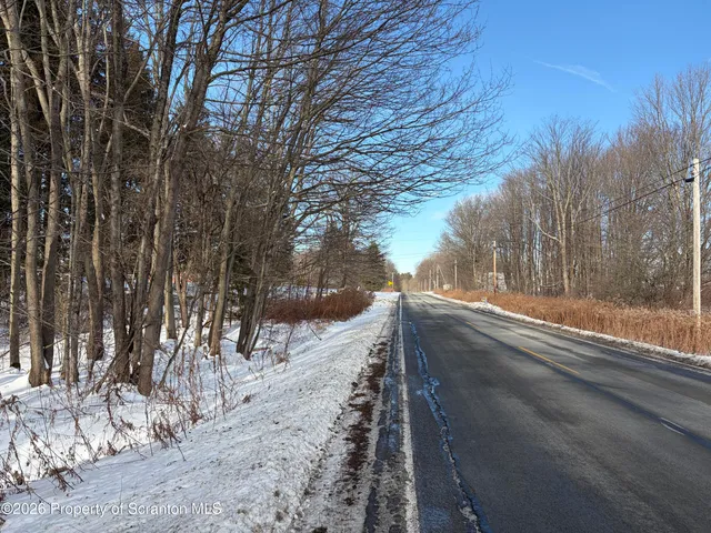 a view of outdoor space with lots of trees