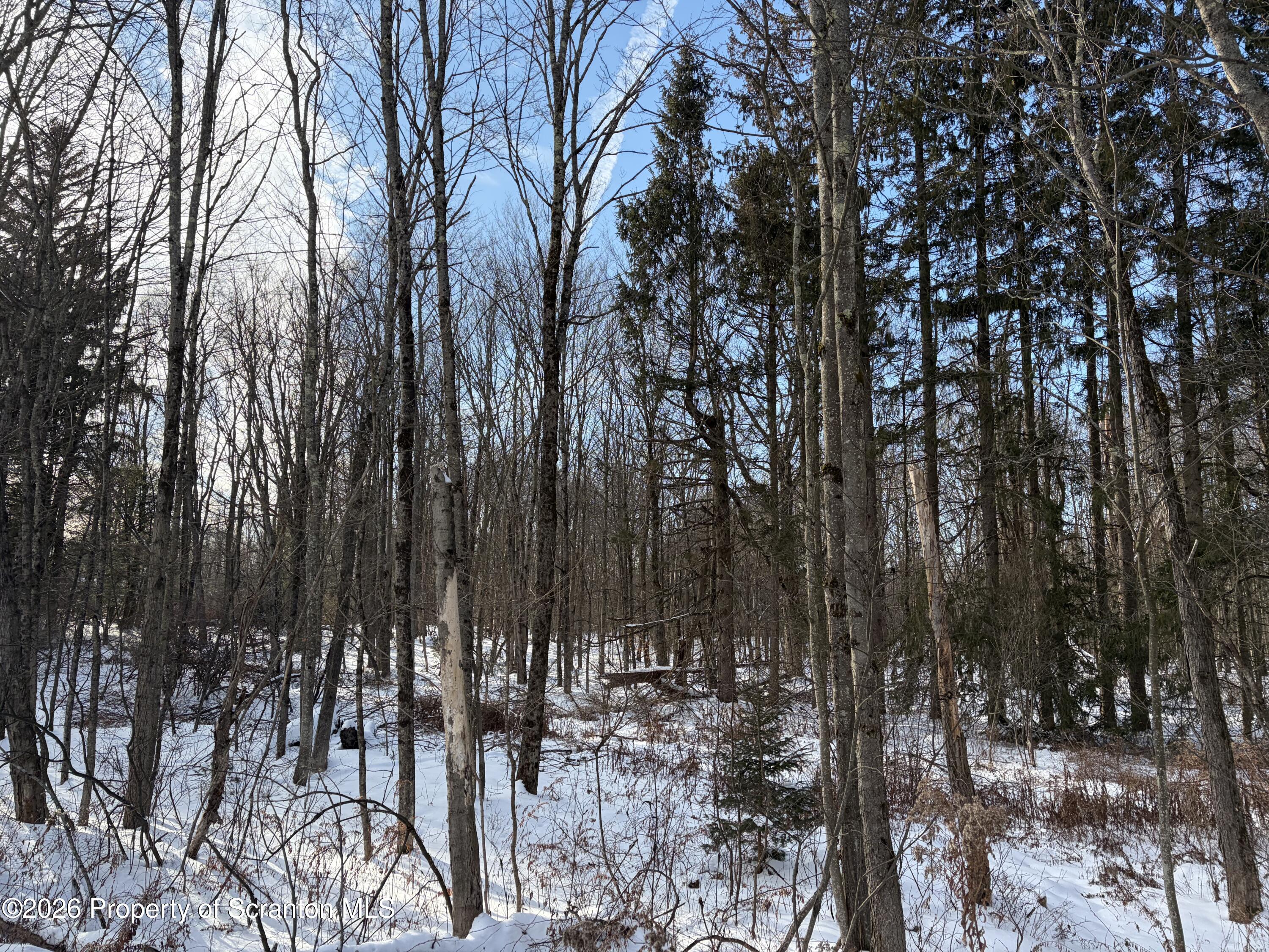 171 State Rte 171 Route Thompson, PA 18465 - Photo 4 of 6 a view of outdoor space with lots of trees