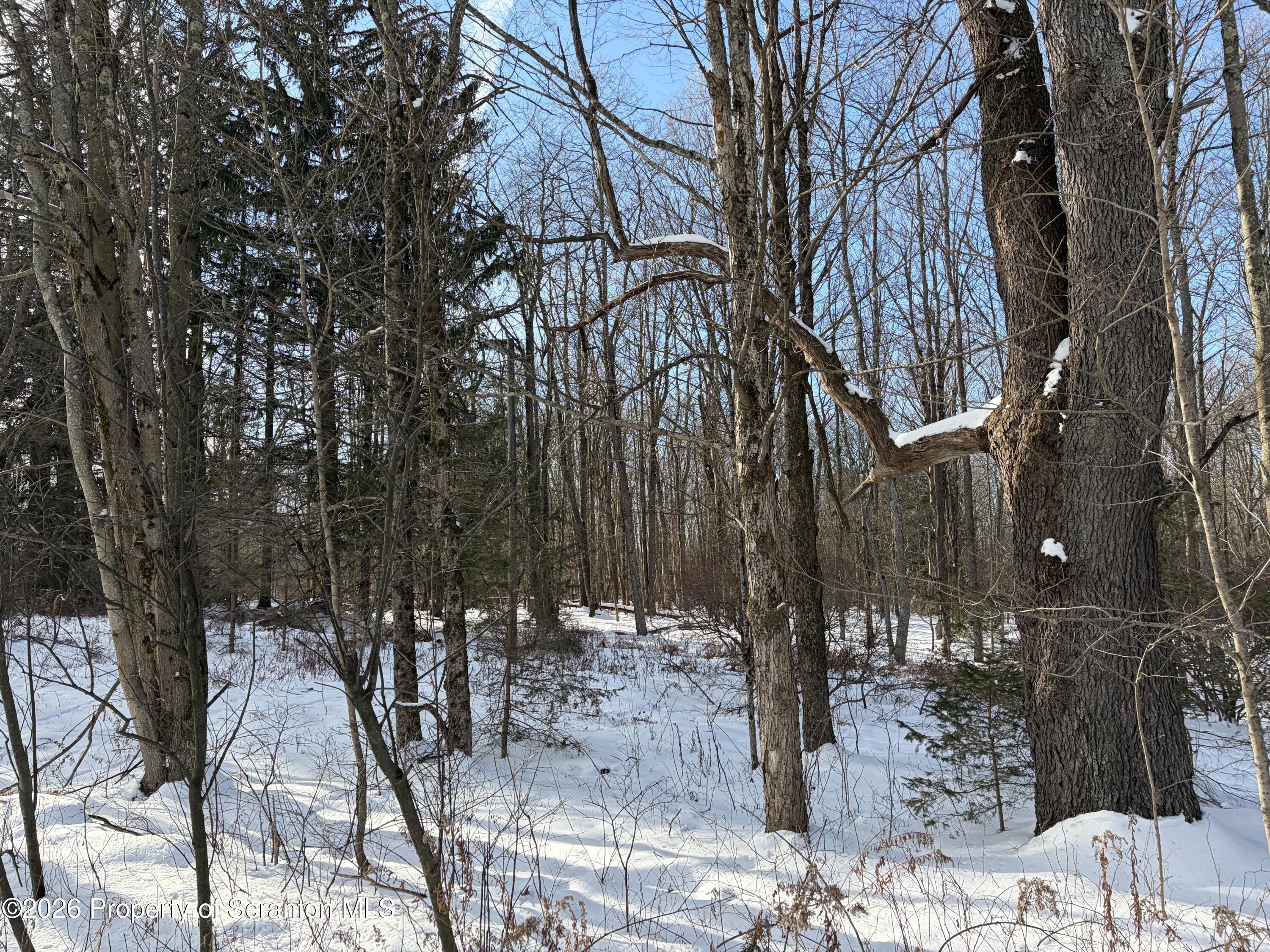 171 State Rte 171 Route Thompson, PA 18465 - Photo 5 of 6 a view of outdoor space with sitting area