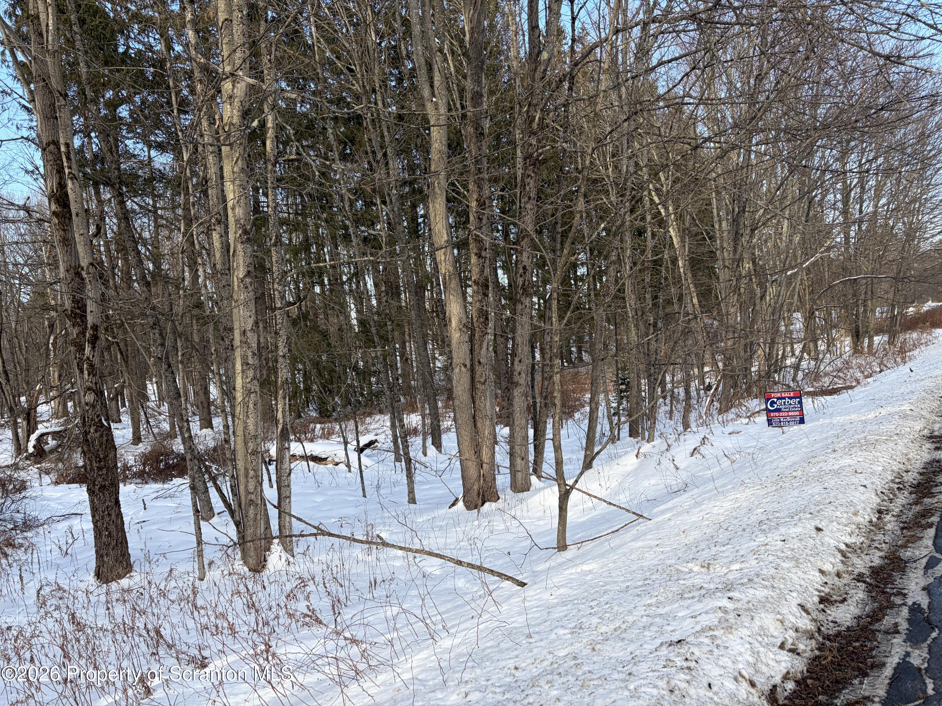 171 State Rte 171 Route Thompson, PA 18465 - Photo 6 of 6 a view of a park with trees