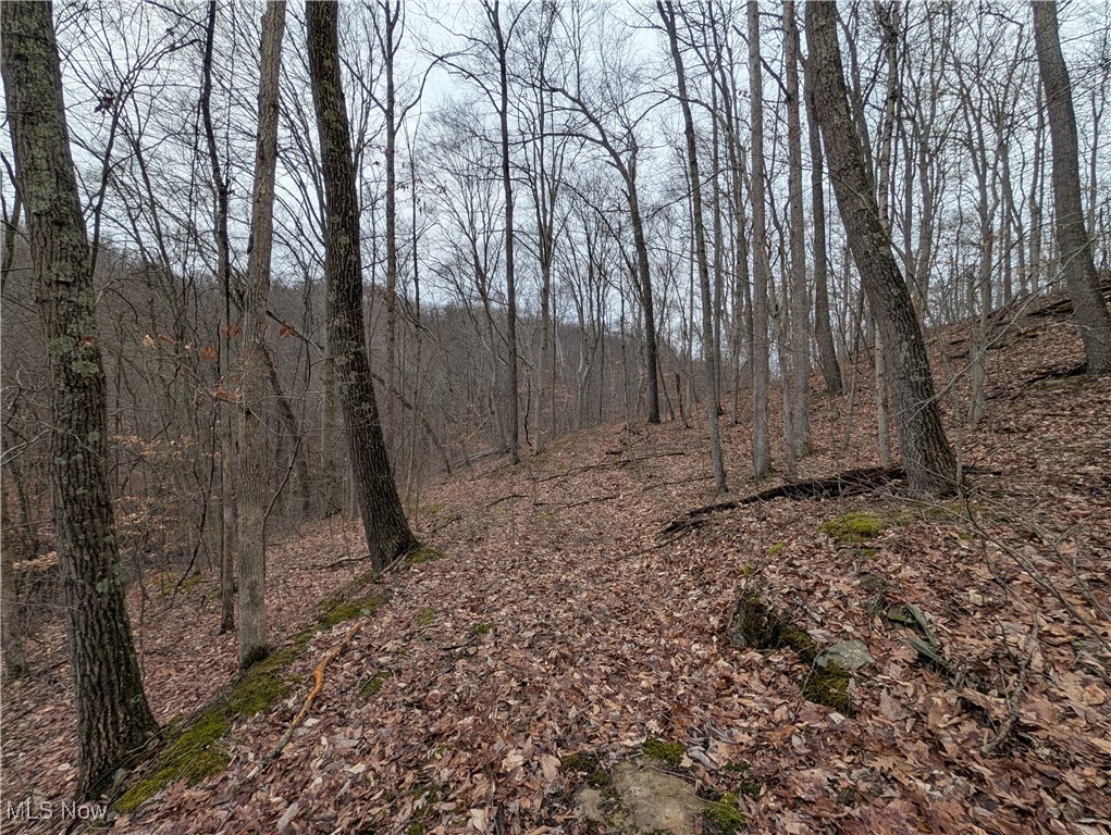 Brown Peavine Road Alledonia, OH 43902 - Photo 34 of 50