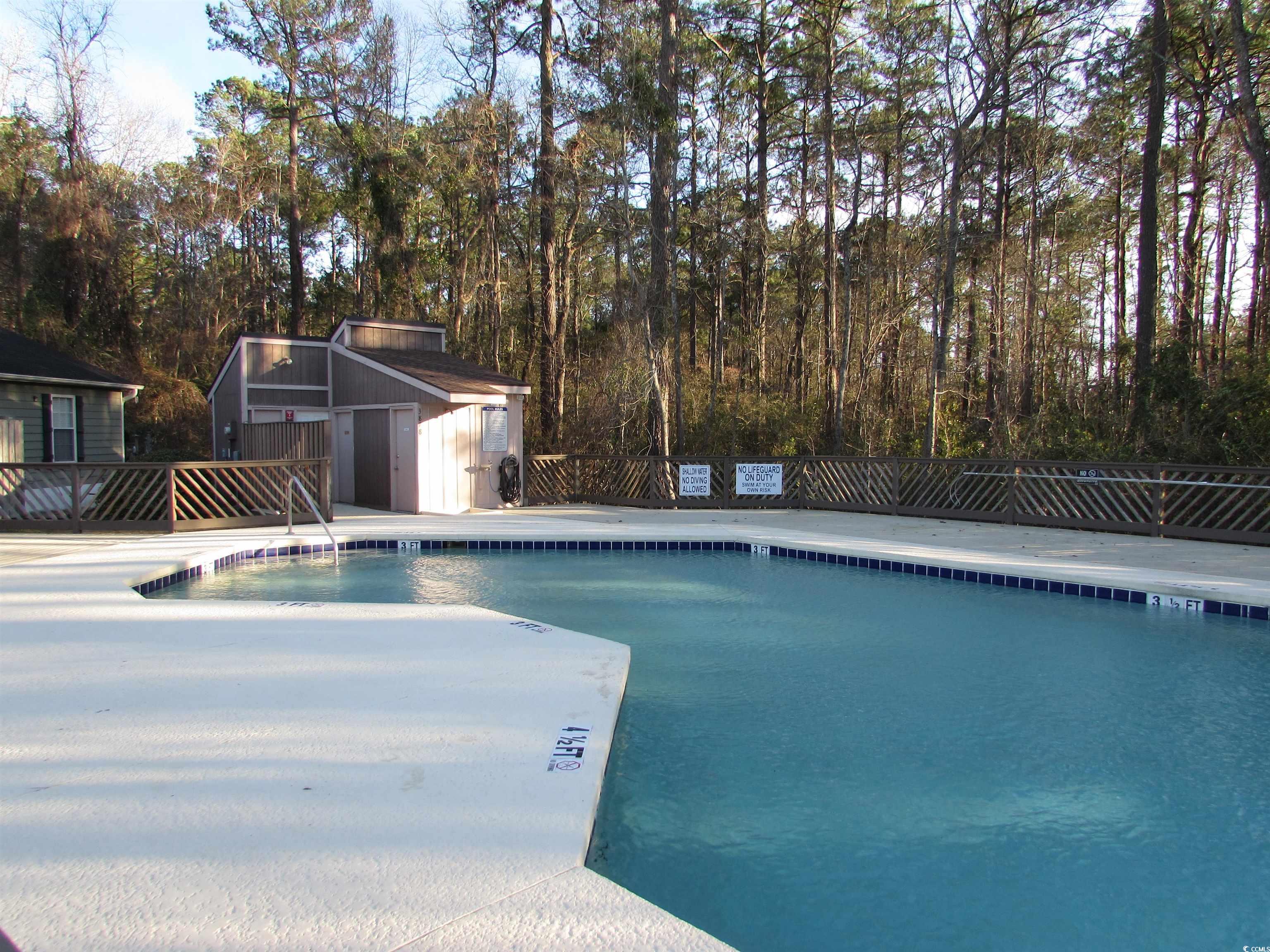 3931 Pinebrook Circle Little River, SC 29566 - Photo 29 of 32 Community pool