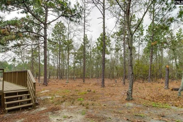 $230,000 | 117 Macedon Drive, Lexington, SC 29073