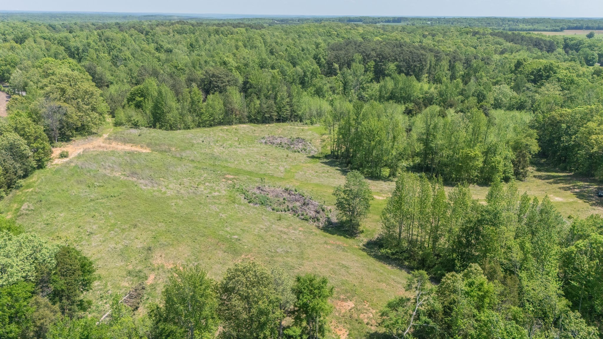 161 Cedar Grove Road Camden, TN 38320 - Photo 11 of 88 Gallery Image 11