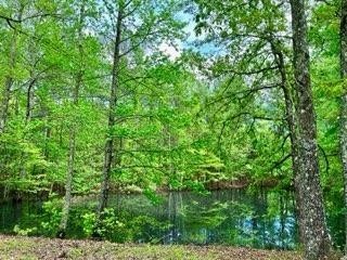 161 Cedar Grove Road Camden, TN 38320 - Photo 12 of 88 Gallery Image 12