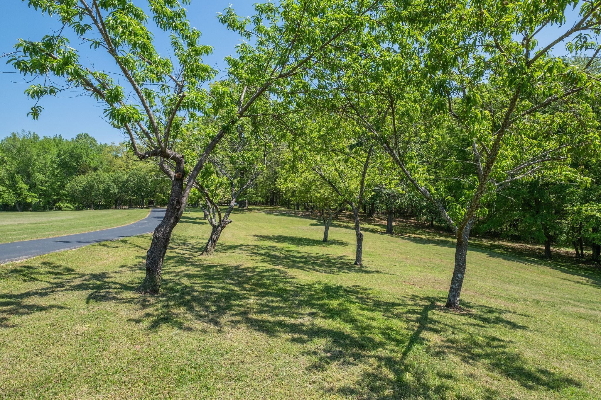 161 Cedar Grove Road Camden, TN 38320 - Photo 70 of 88 Gallery Image 70
