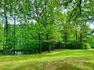 161 Cedar Grove Road Camden, TN 38320 - Photo 72 of 88 Gallery Image 72