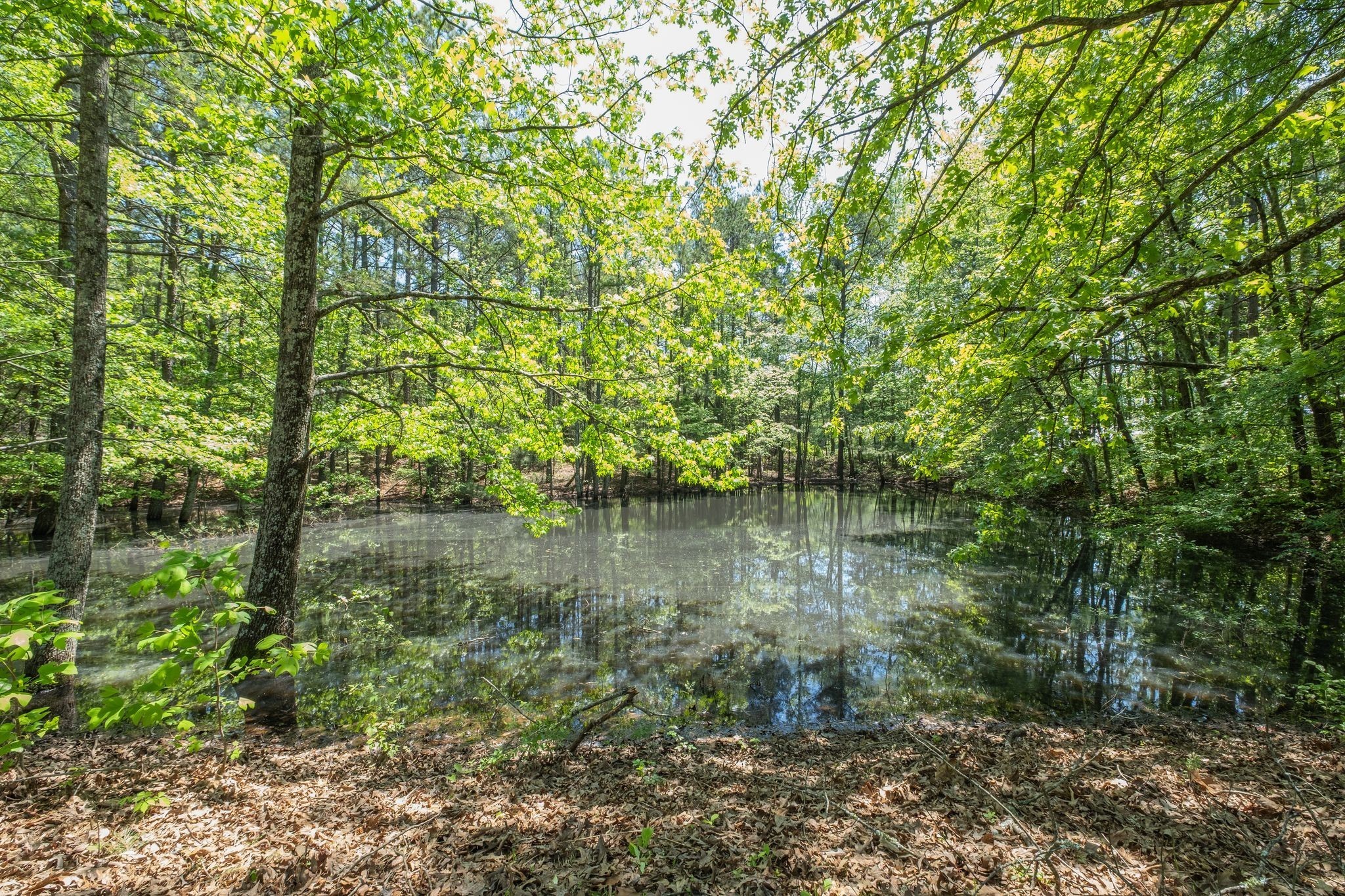 161 Cedar Grove Road Camden, TN 38320 - Photo 74 of 88 Gallery Image 74