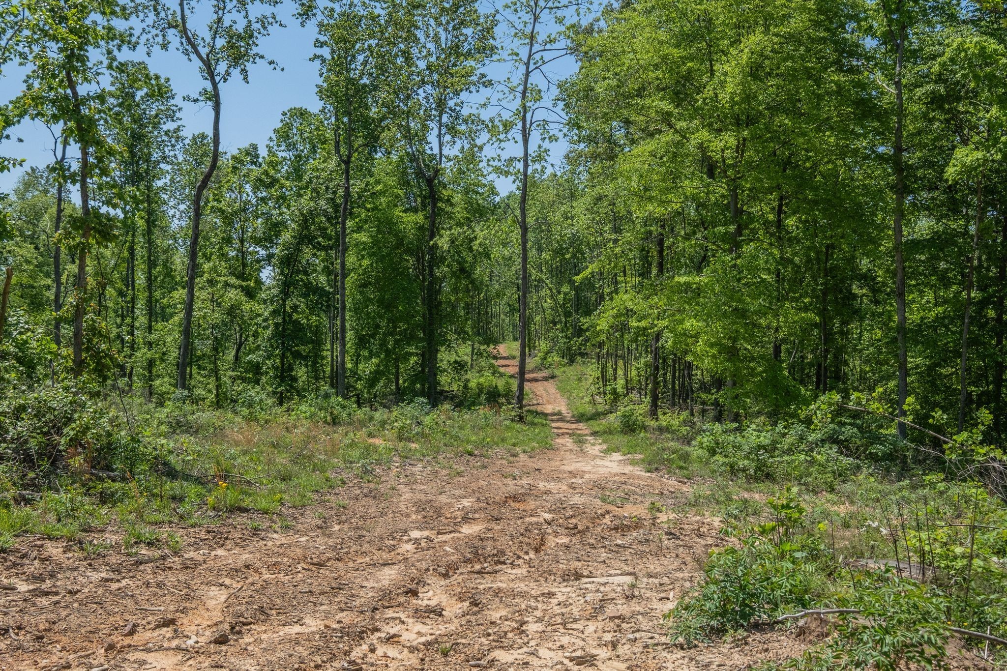 161 Cedar Grove Road Camden, TN 38320 - Photo 75 of 88 Gallery Image 75