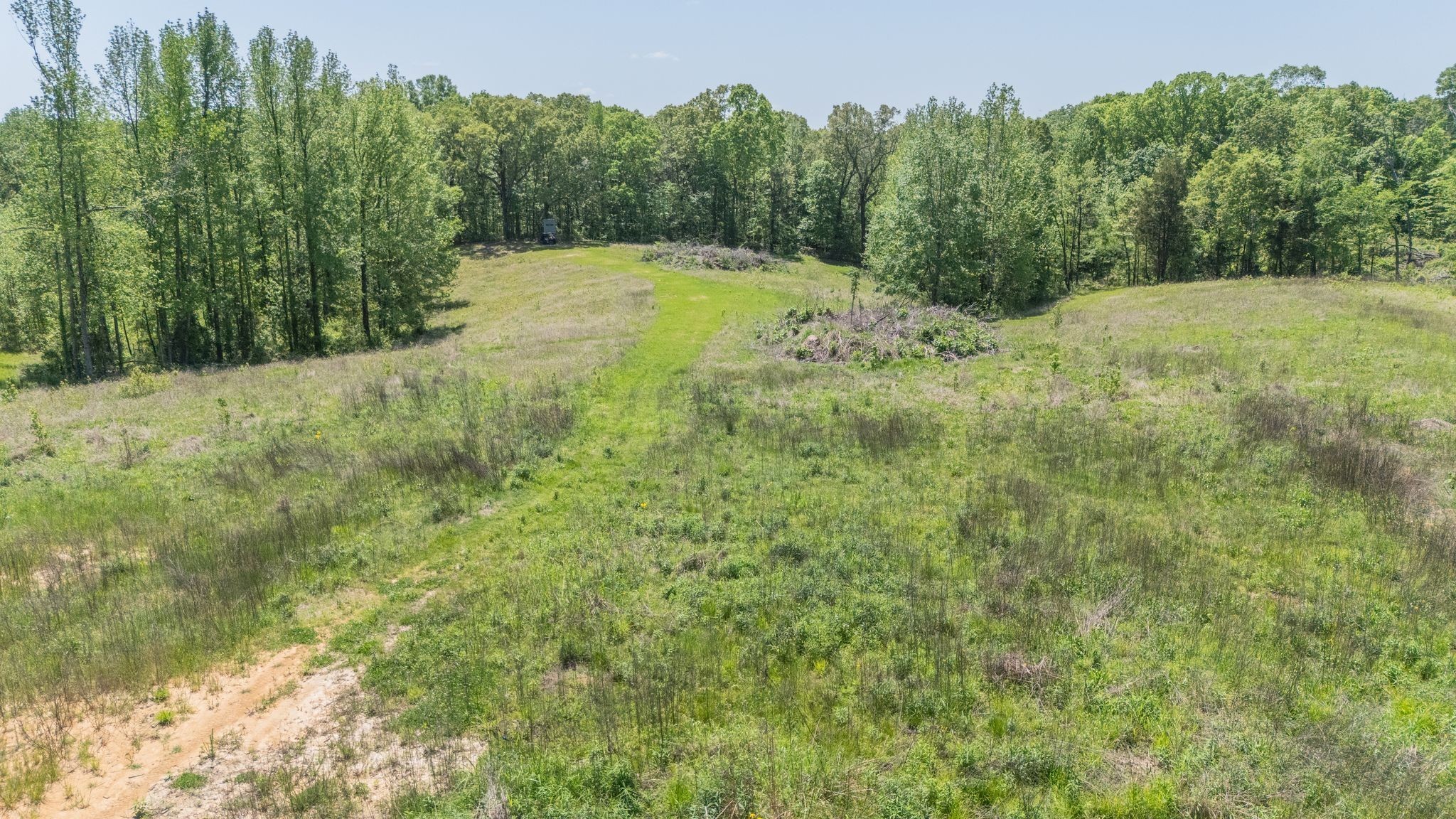 161 Cedar Grove Road Camden, TN 38320 - Photo 78 of 88 Gallery Image 78