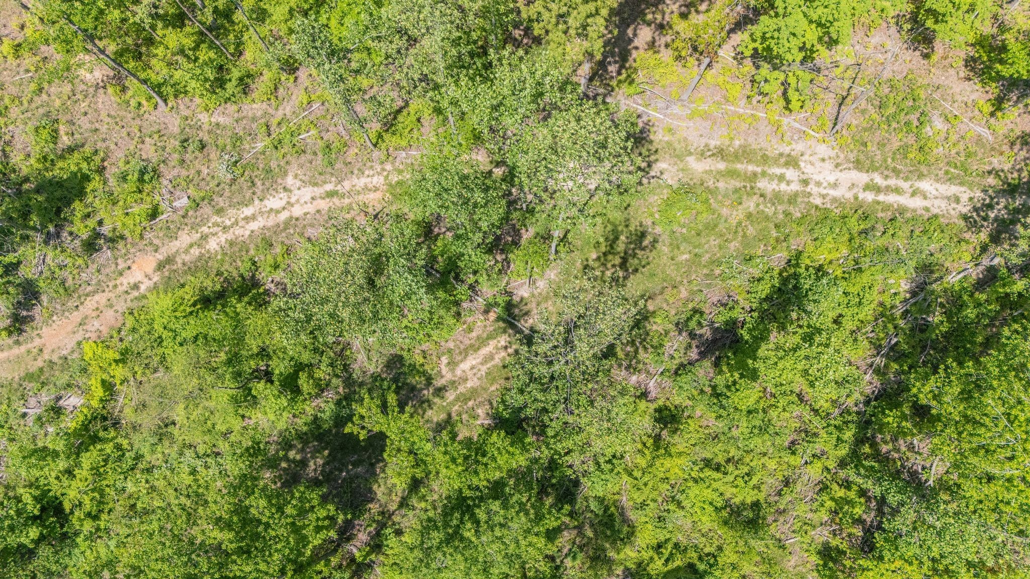 161 Cedar Grove Road Camden, TN 38320 - Photo 79 of 88 Gallery Image 79