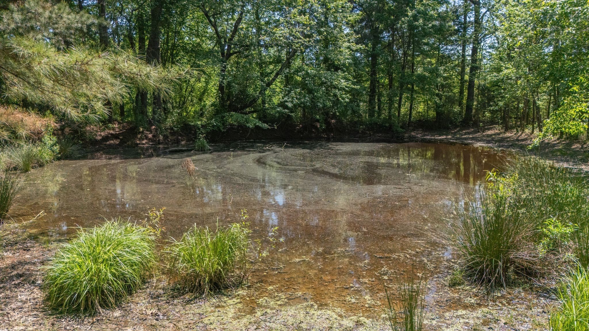 161 Cedar Grove Road Camden, TN 38320 - Photo 81 of 88 Gallery Image 81