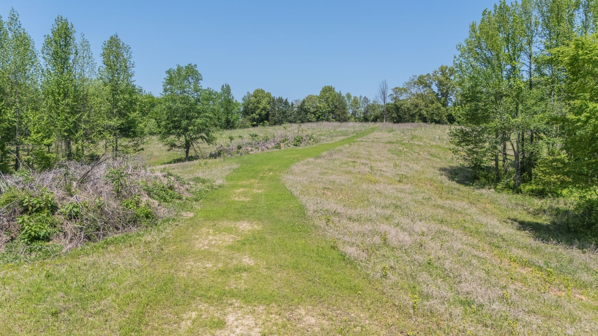 161 Cedar Grove Road Camden, TN 38320 - Photo 10 of 88 Gallery Image 10