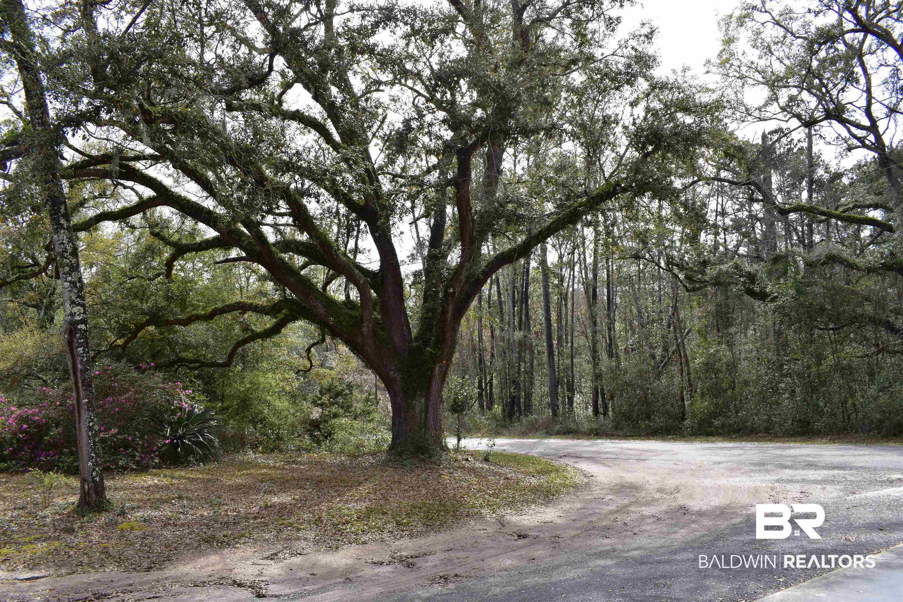 0 Antioch Road Fairhope, AL 36532 - Photo 11 of 21