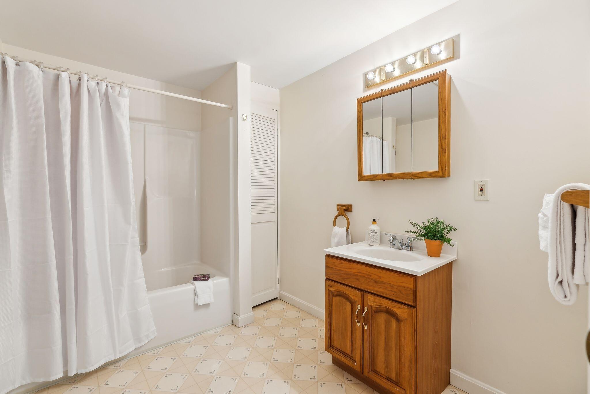 160 Lyons Point Road Gray, ME 04071 - Photo 40 of 64 Lower level large bathroom