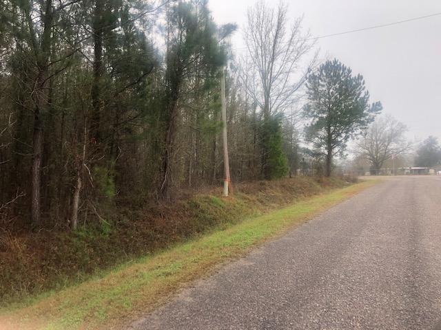 0 Rowe Lane Round O, SC 29474 - Photo 6 of 10 Jessie side 5