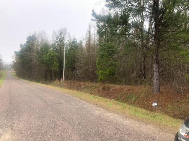 0 Rowe Lane Round O, SC 29474 - Photo 7 of 10 Jessie side