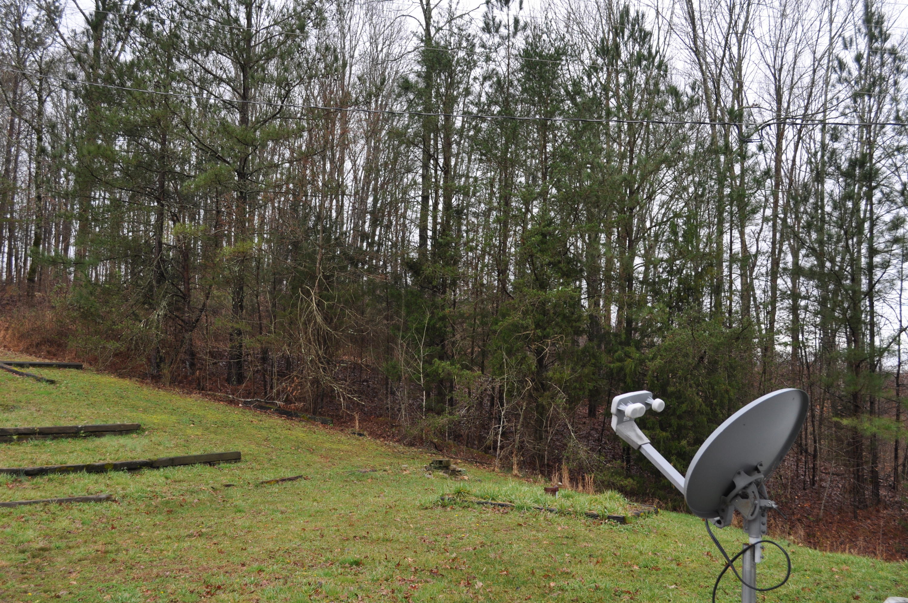 2024 County Road 50 Riceville, TN 37370 - Photo 27 of 33 DSC_0689