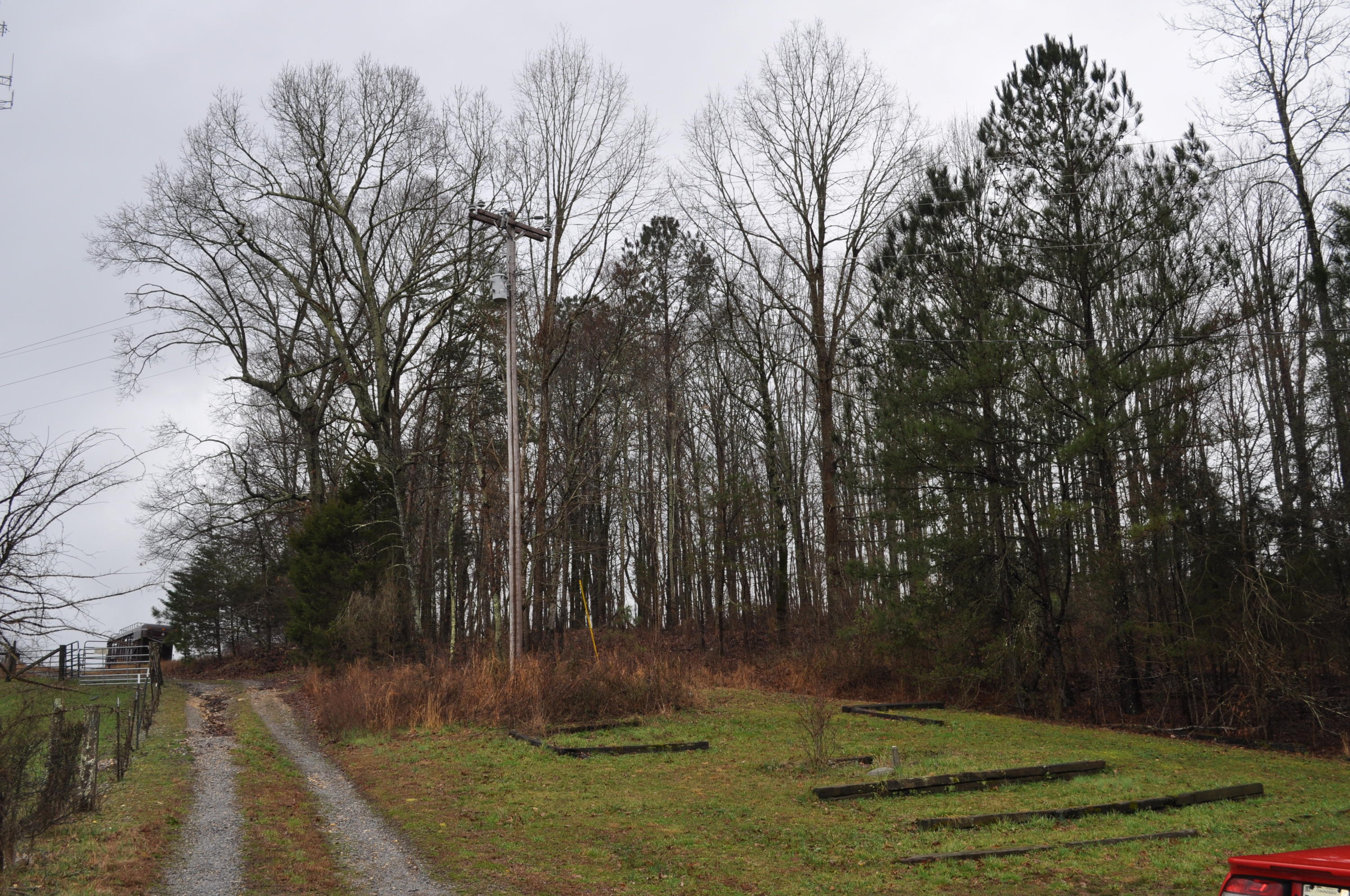 2024 County Road 50 Riceville, TN 37370 - Photo 29 of 33 DSC_0692