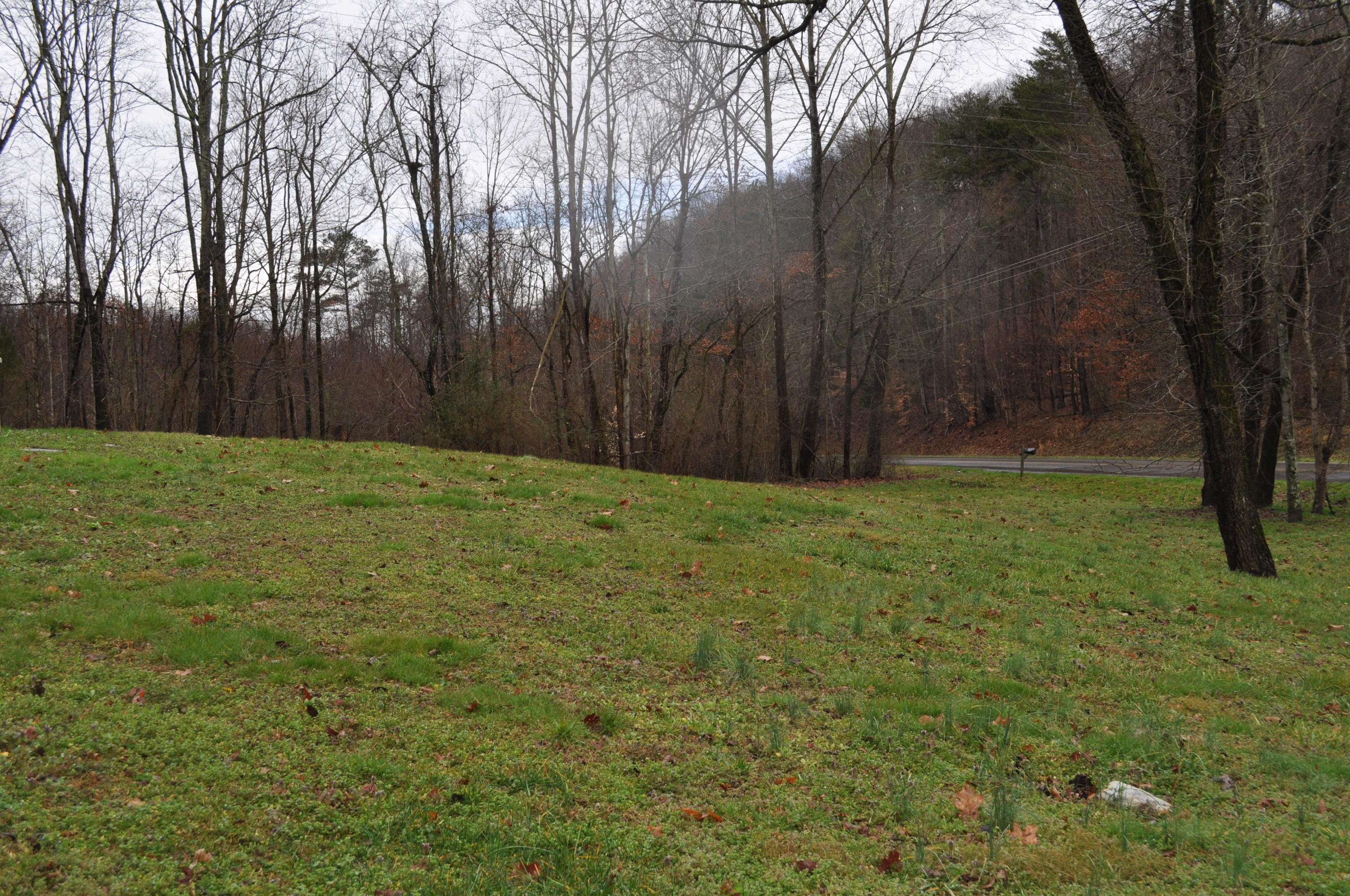 2024 County Road 50 Riceville, TN 37370 - Photo 6 of 33 DSC_0694