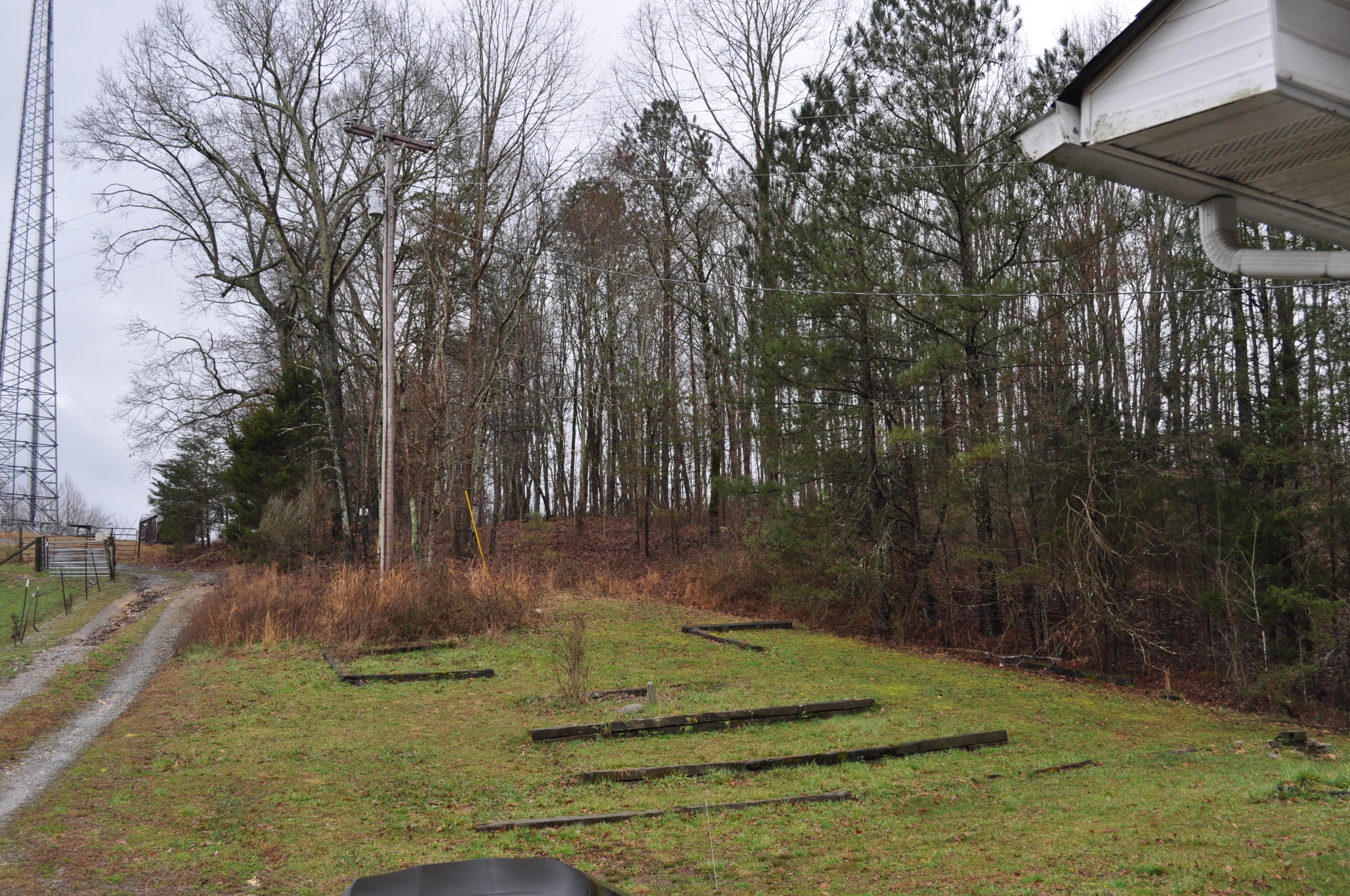 2024 County Road 50 Riceville, TN 37370 - Photo 7 of 33 DSC_0688