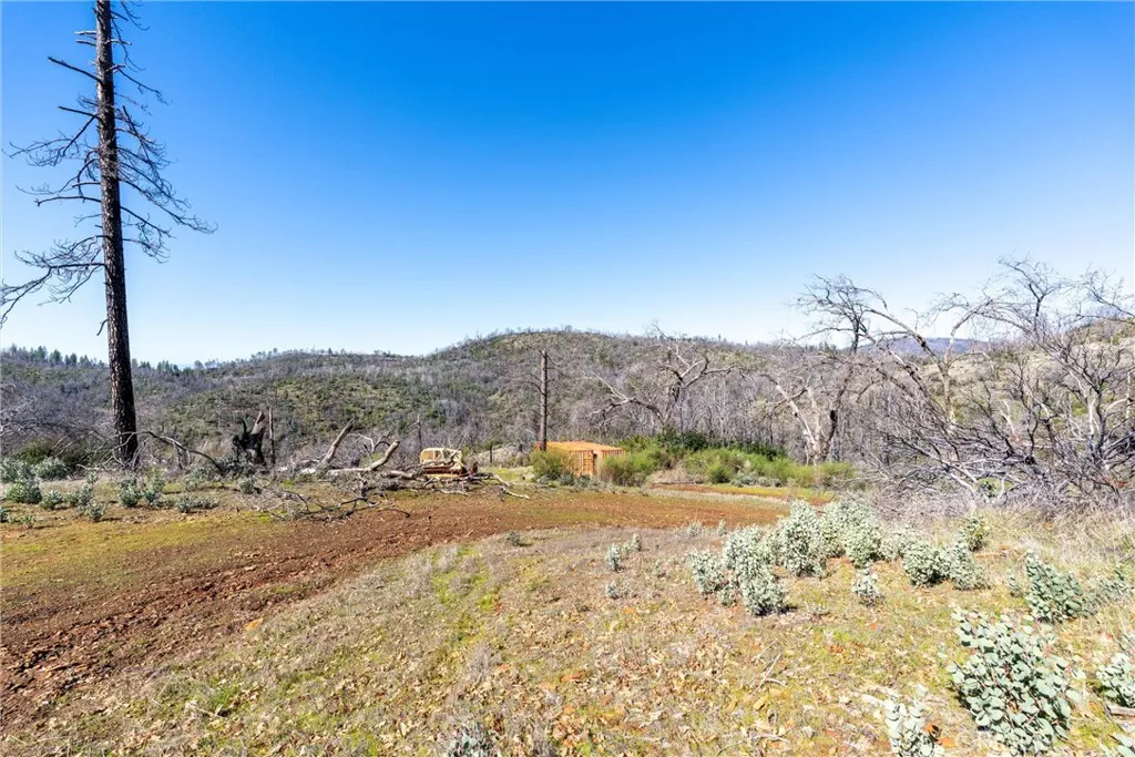 0 Big Ridge Road Berry Creek, CA 95916 - Photo 14 of 25 a view of a yard with a mountain view