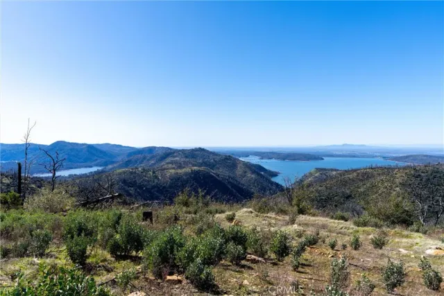 a view of a lush green field with mountains in the background