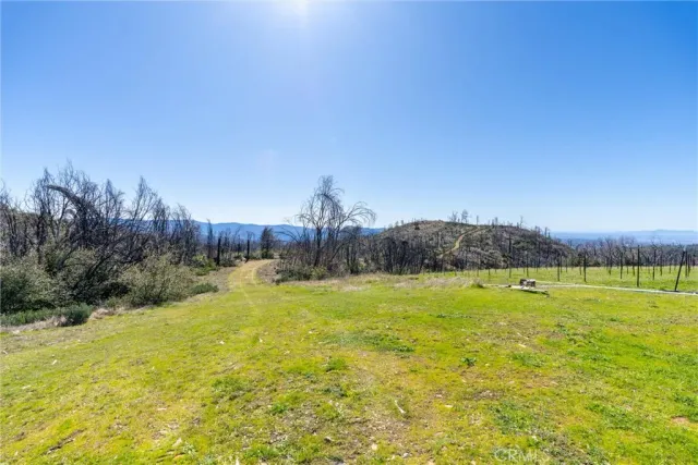 a view of a yard with an ocean view
