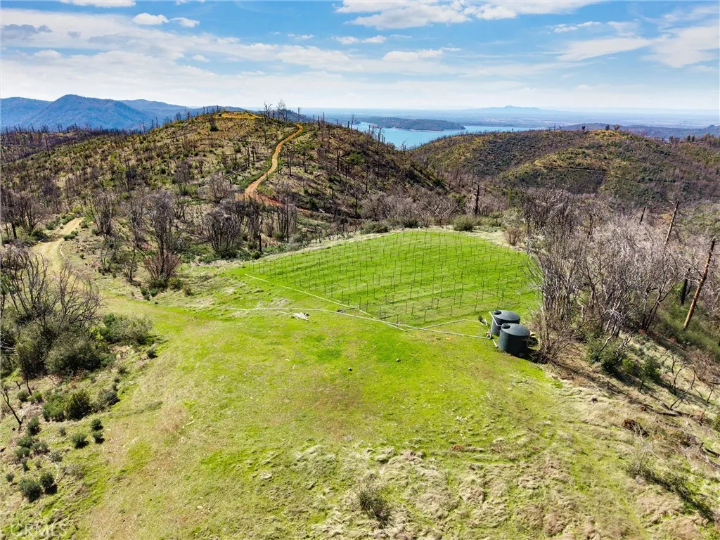 0 Big Ridge Road Berry Creek, CA 95916 - Photo 2 of 25 a view of an outdoor space and a yard