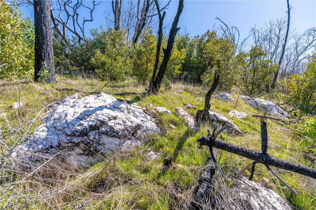 0 Big Ridge Road Berry Creek, CA 95916 - Photo 22 of 25 a view of a yard