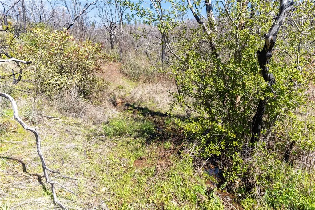 0 Big Ridge Road Berry Creek, CA 95916 - Photo 25 of 25 a view of a yard