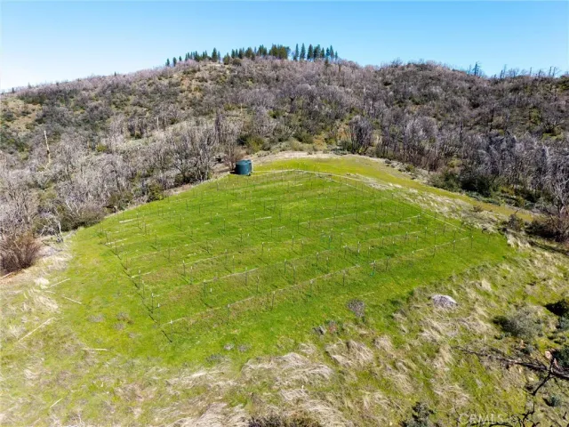 a view of an outdoor space and a yard
