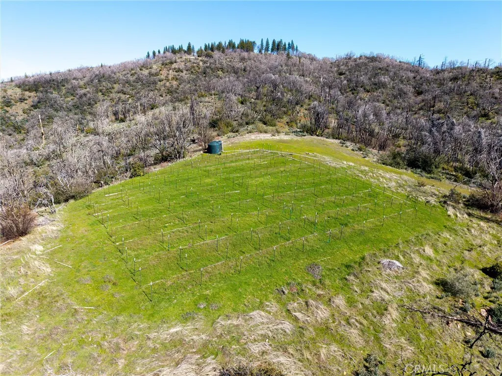 0 Big Ridge Road Berry Creek, CA 95916 - Photo 9 of 25 a view of an outdoor space and a yard