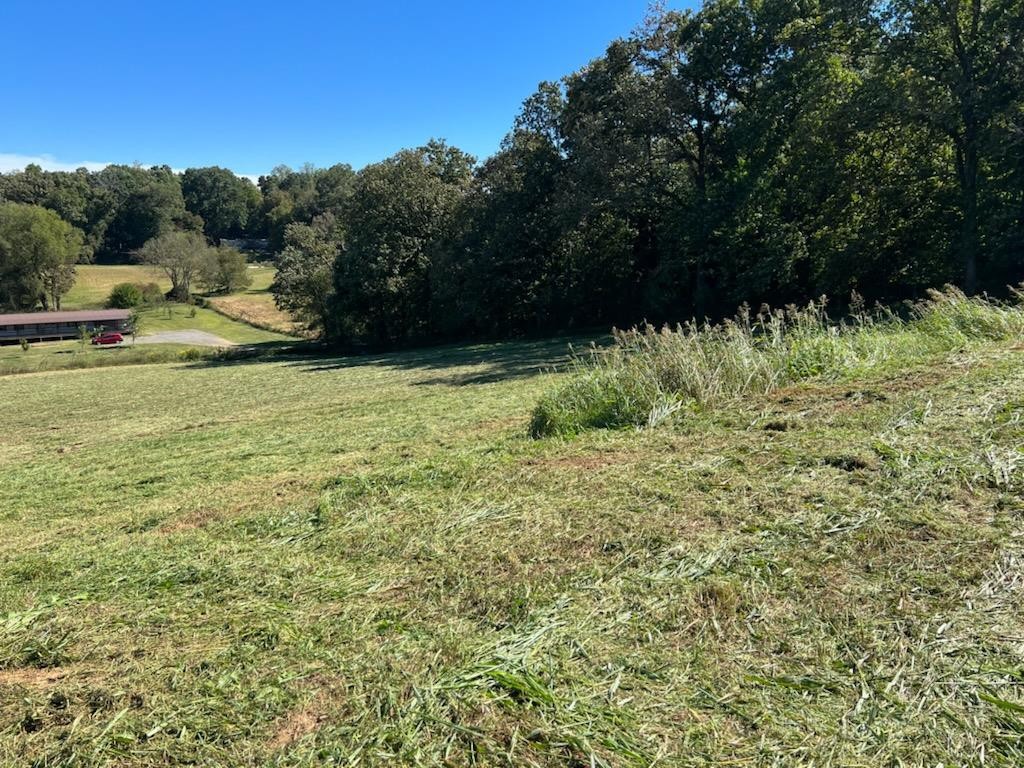 0 Beeler Ridge Road Northeast Charleston, TN 37310 - Photo 1 of 2 Gallery Image 1