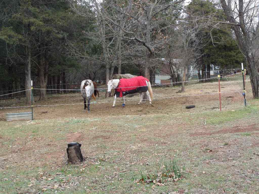 11818 East 68th Street Ripley, OK 74062 - Photo 14 of 32 Gallery Image 14