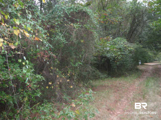 10771 Thompson Road Stockton, AL 36579 - Photo 1 of 1