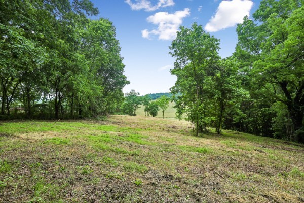 0 Hix Road Gordonsville, TN 38563 - Photo 19 of 37 Gallery Image 19