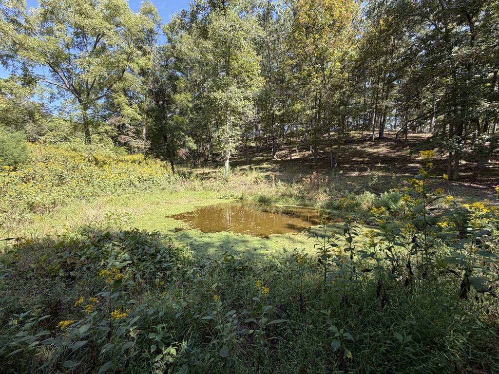 2443 Bruce Allen Road Hinton, WV 25951 - Photo 65 of 75 Gallery Image 65