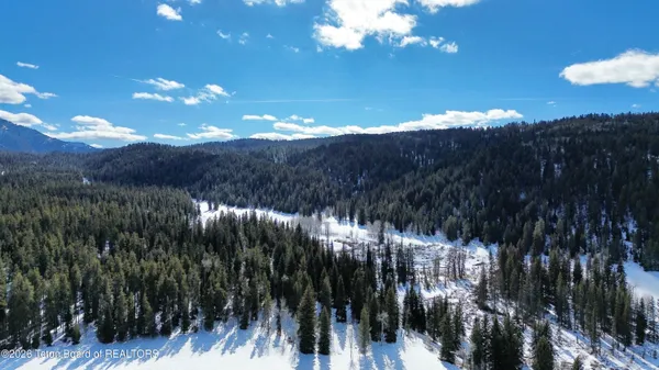 $1,300,000 | 41.11-acre Thatcher N Lane, Bedford, WY 83112