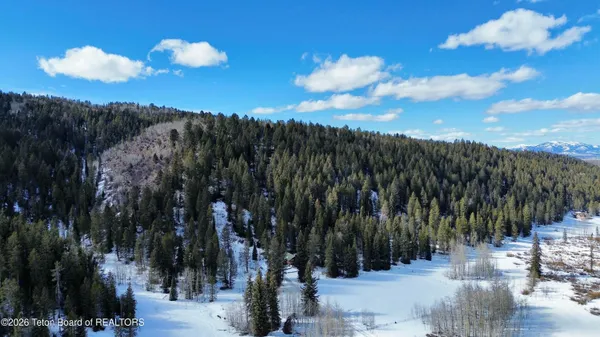$1,300,000 | 41.11-acre Thatcher N Lane, Bedford, WY 83112