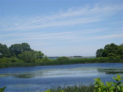 55 Strong Island Road Chatham, MA 02633 - Photo 15 of 16 a view of a lake with a big yard