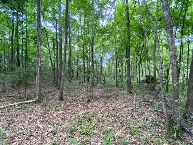 12-ac Barnes Road Florence, MS 39073 - Photo 3 of 10 Photo 9