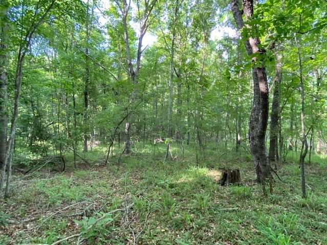 12-ac Barnes Road Florence, MS 39073 - Photo 5 of 10 Photo 11
