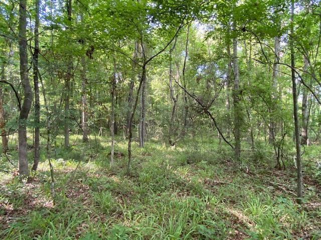 12-ac Barnes Road Florence, MS 39073 - Photo 6 of 10 Photo 12