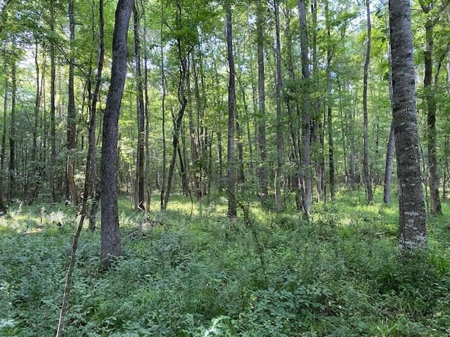 12-ac Barnes Road Florence, MS 39073 - Photo 8 of 10 Photo 14