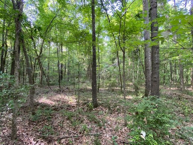 12-ac Barnes Road Florence, MS 39073 - Photo 10 of 10 Photo 16